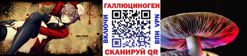 магазин    Ивдель  Псилоцибиновые грибы прущие грибы 
